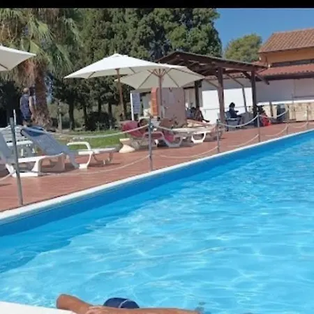 Andrew's Tropea *